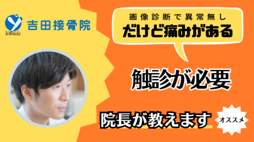 画像診断検査で異常がないのに痛い「触診でしか解決できない」