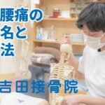 腰痛の原因と対処法【ヘルニア・脊柱菅狭窄症・分離症・すべり症】