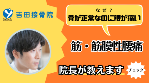 骨に異常がないのに腰が痛い、、、筋・筋膜性腰痛とは？